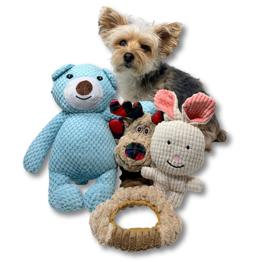 Goofy Moose Stretchy Dog Toy