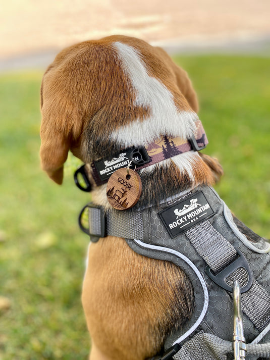 Personalized Wooden Dog ID Tag