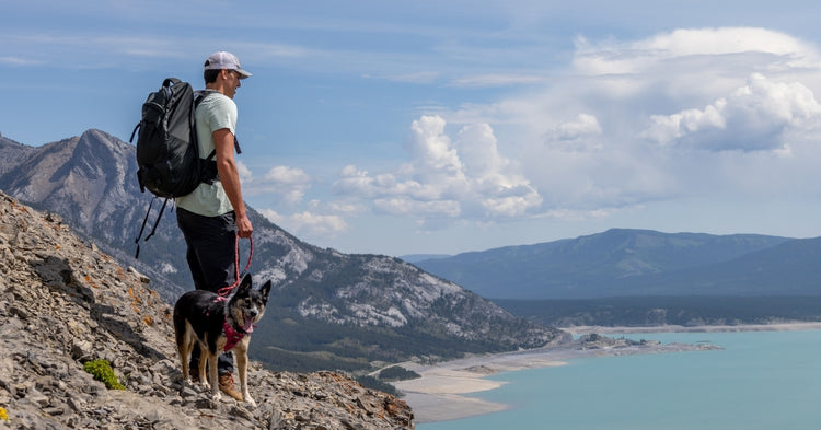 hiking with dog abraham lake alberta