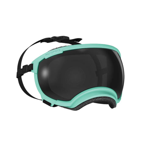 V2 Large Dog Goggles