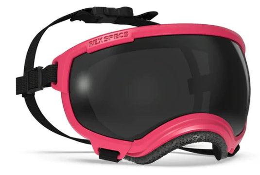 V2 Small Dog Goggles