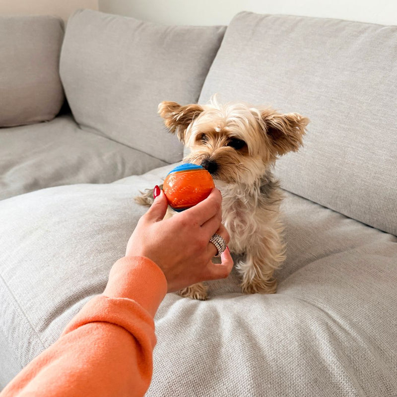 Load image into Gallery viewer, Rocky Mountain Dog Toy Ball
