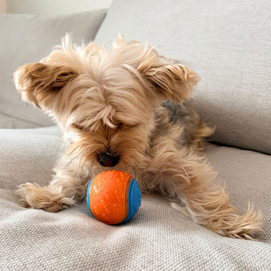 Rocky Mountain Dog Toy Ball