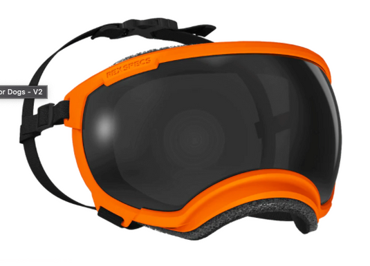 V2 Small Dog Goggles