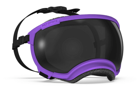 V2 Small Dog Goggles