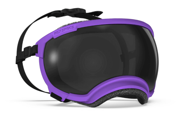 V2 Medium Dog Goggles - Rocky Mountain Dog