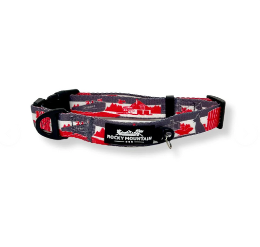 RMD Collar & Red Aluminium Tag Set Cont.