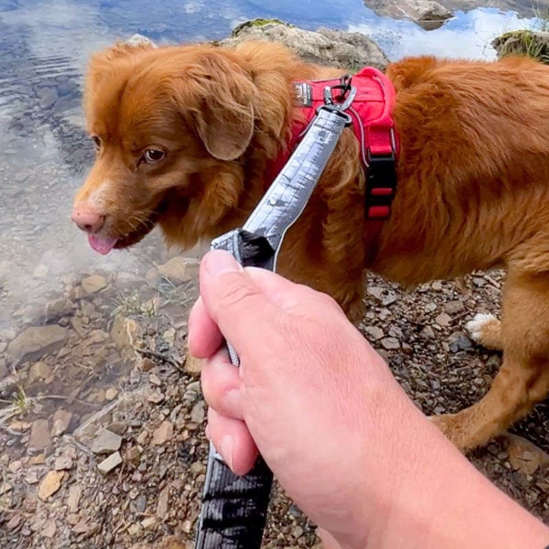 Load image into Gallery viewer, The Wild Tactical Dog Leash - Rocky Mountain Dog
