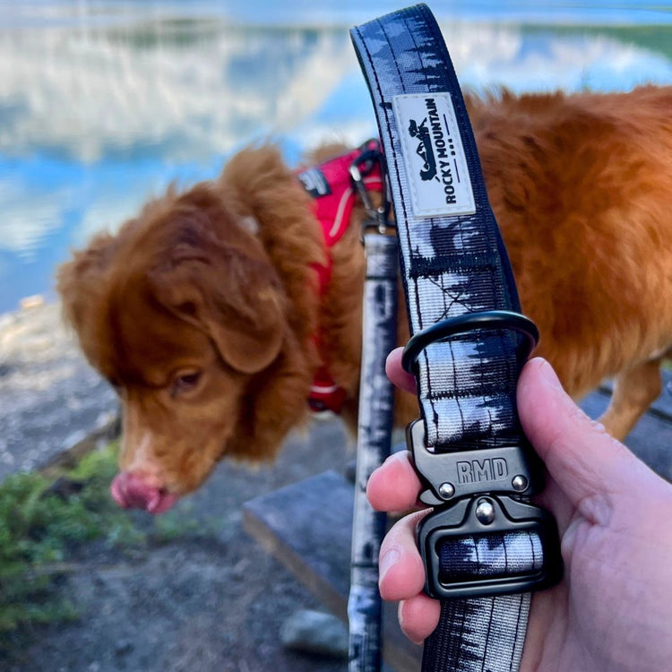 The Wild Tactical Dog Leash - Rocky Mountain Dog
