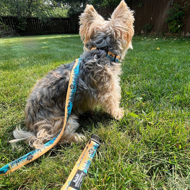 Load image into Gallery viewer, Paw Mountain Leash - Rocky Mountain Dog

