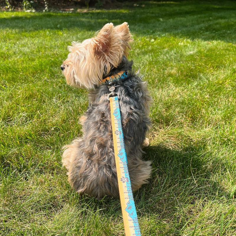 Load image into Gallery viewer, Paw Mountain Leash - Rocky Mountain Dog
