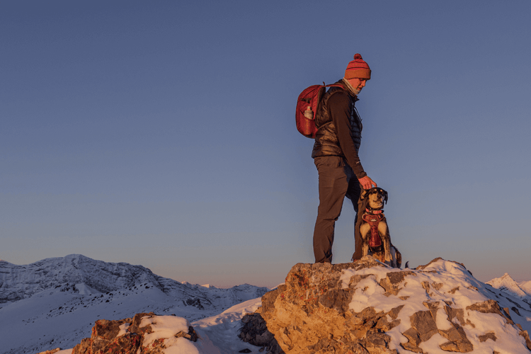 SUMMIT HARNESS