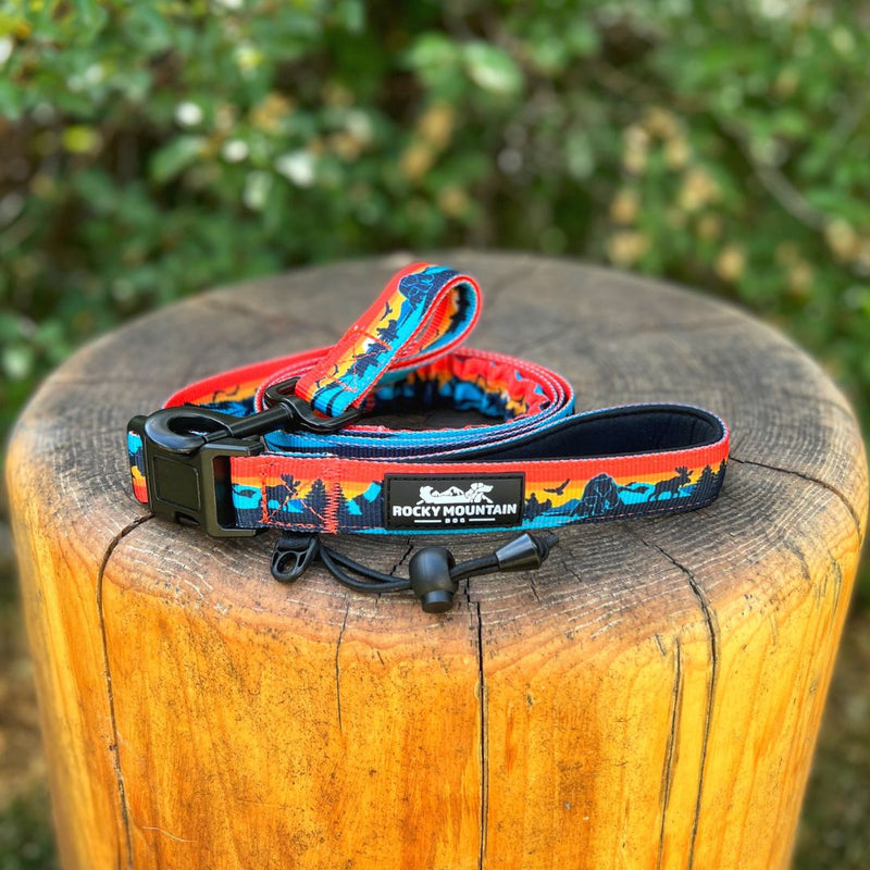 Load image into Gallery viewer, Banff All Mountain Dog Leash
