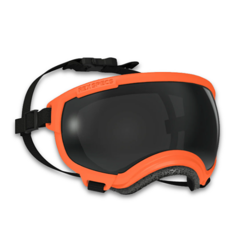 Load image into Gallery viewer, V2 Large Dog Goggles - Rocky Mountain Dog
