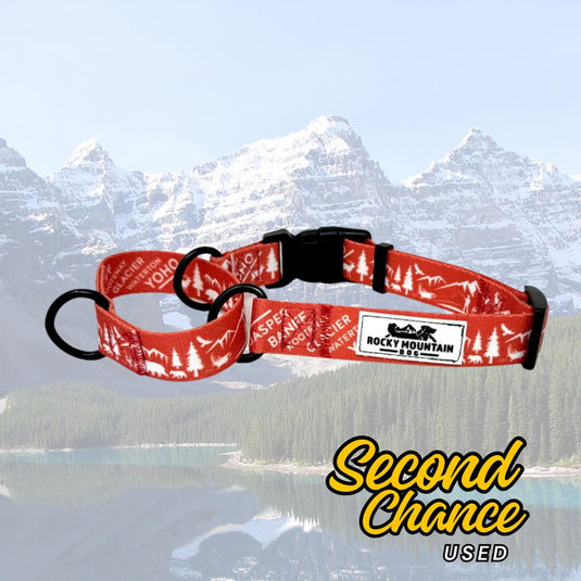 (Used) Canadian Rockies Martingale Clip Collar