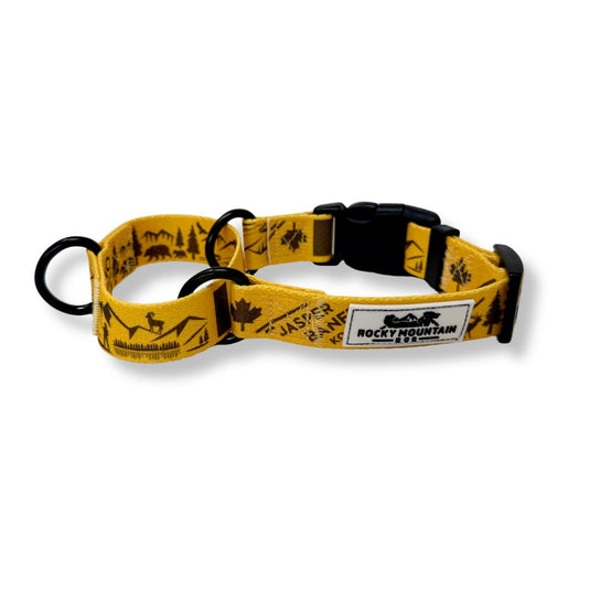 Canadian Rockies Martingale Clip Collar
