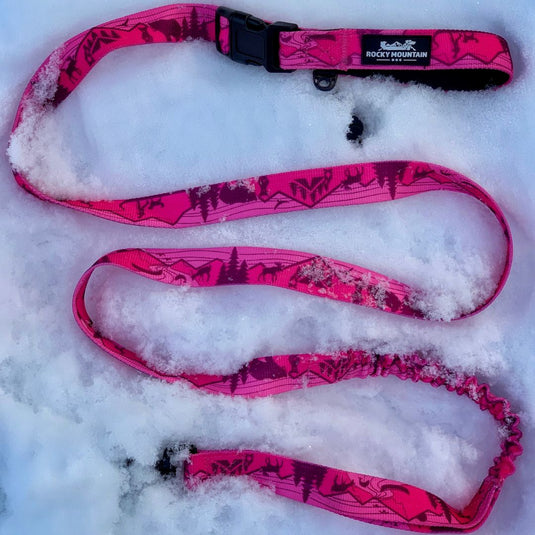 Cascade All Mountain Dog Leash