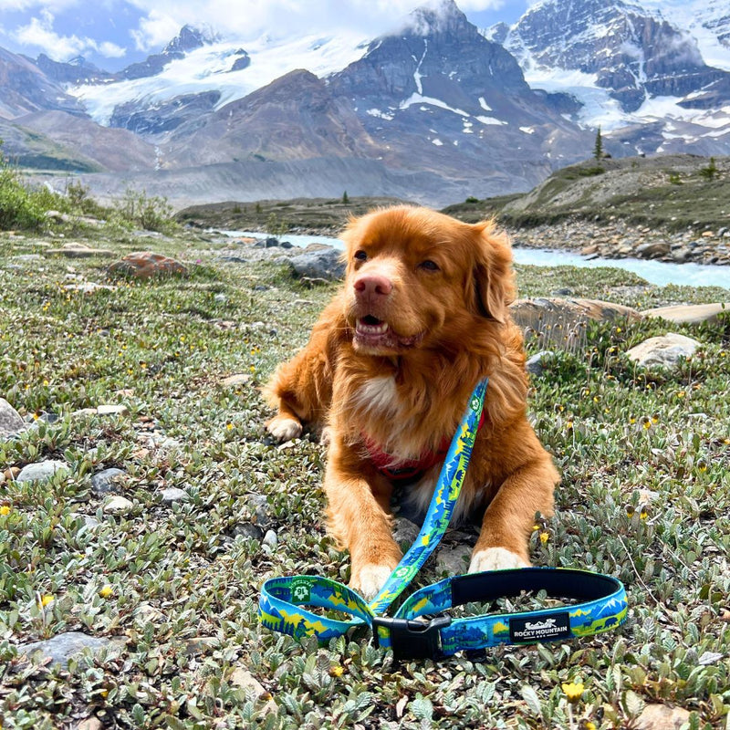 Load image into Gallery viewer, Jasper All Mountain Leash - Rocky Mountain Dog

