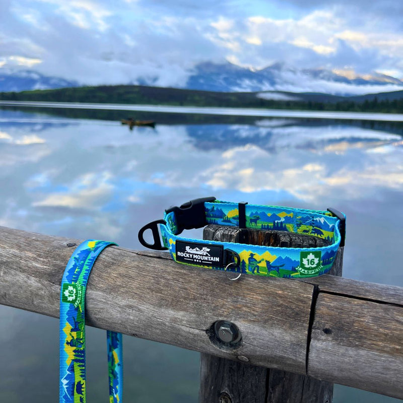 Load image into Gallery viewer, Jasper All Mountain Leash - Rocky Mountain Dog
