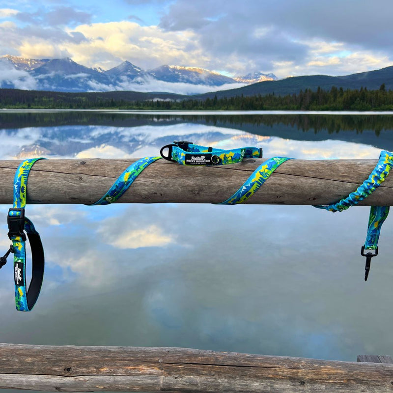 Load image into Gallery viewer, Jasper All Mountain Leash - Rocky Mountain Dog
