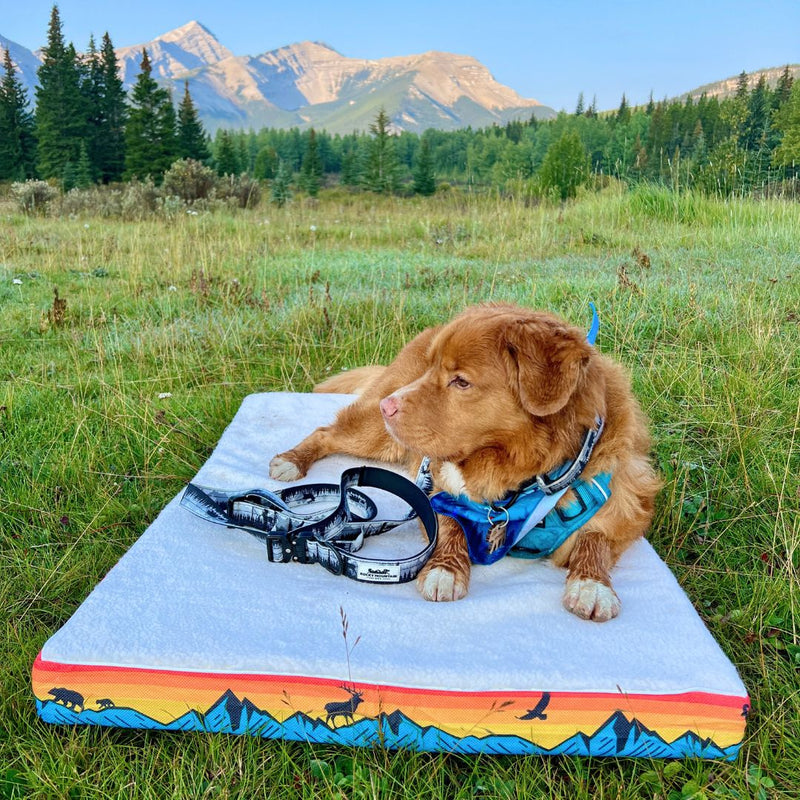 Load image into Gallery viewer, Banff Dog Bed - Rocky Mountain Dog
