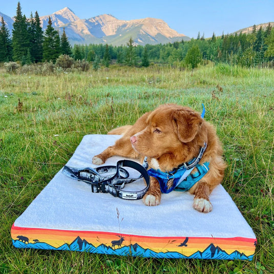 Banff Dog Bed - Rocky Mountain Dog