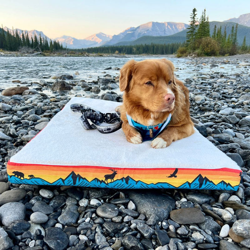 Load image into Gallery viewer, Banff Dog Bed - Rocky Mountain Dog
