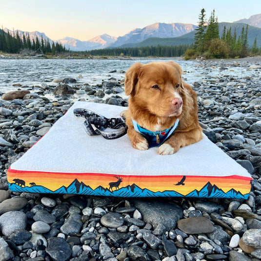 Banff Dog Bed - Rocky Mountain Dog