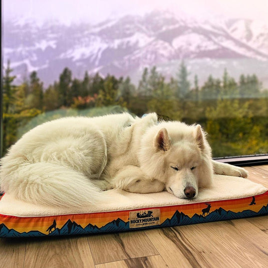 Banff Dog Bed