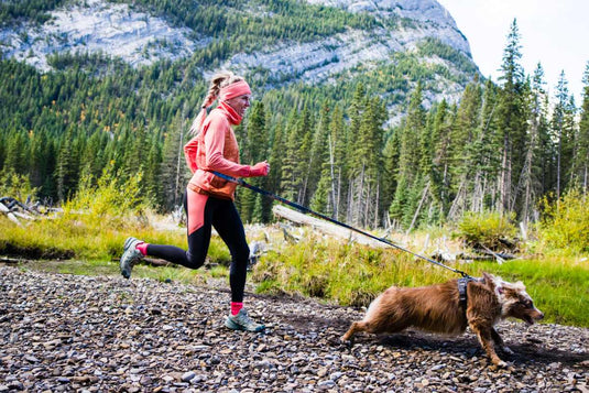 A woman in a pink and black running outfit jogs on a rocky trail next to a brown dog on a leash, with a dense pine forest and mountains in the background.
