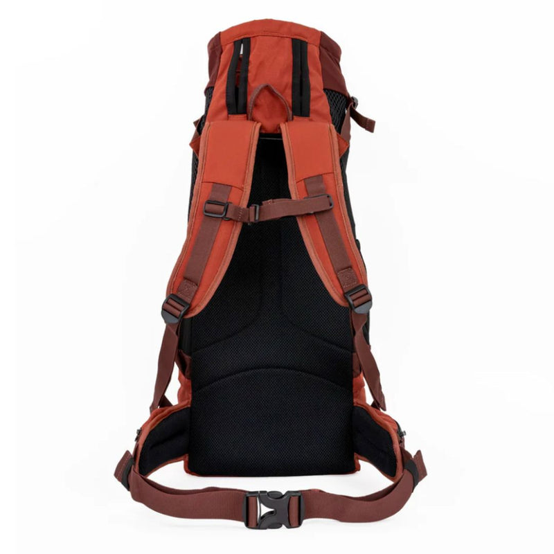 Load image into Gallery viewer, K9 Sport Sack Knavigate - Rocky Mountain Dog
