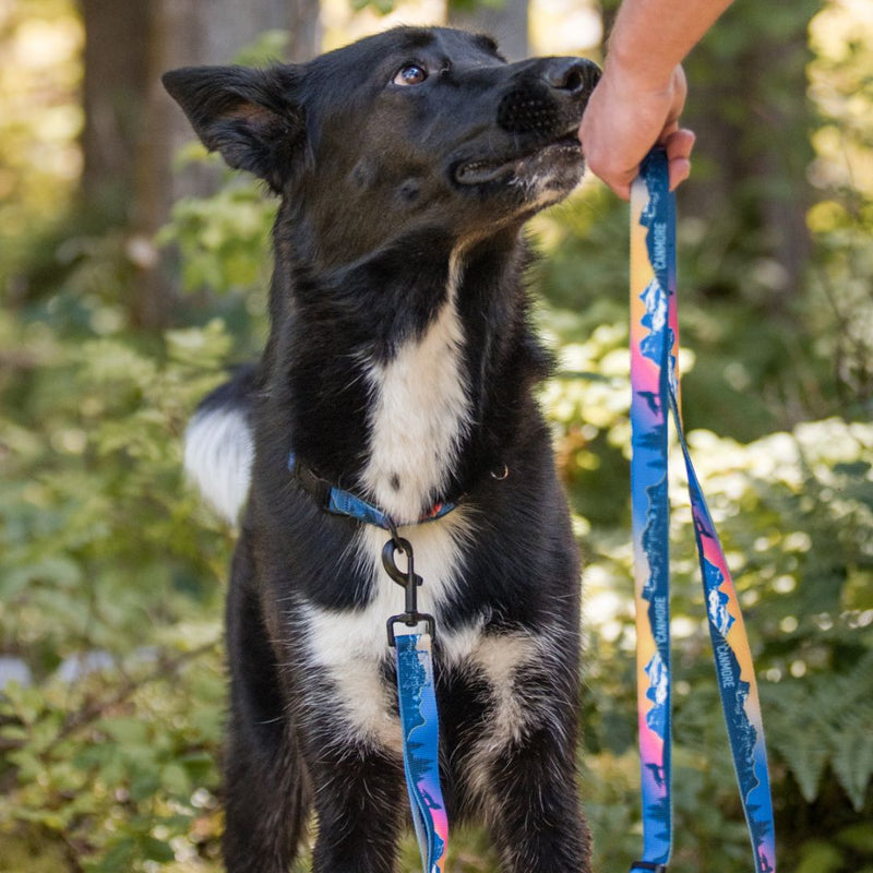 Load image into Gallery viewer, V2 Canmore All Mountain Dog Leash - Rocky Mountain Dog

