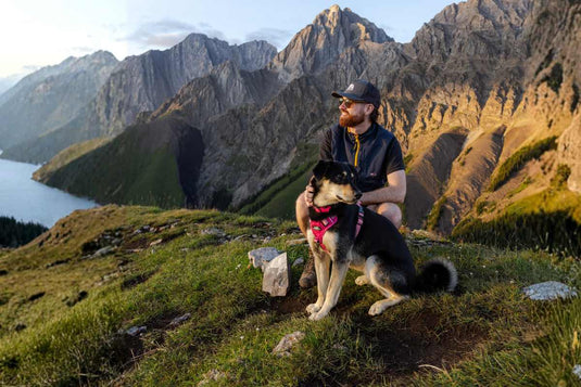 man hiking with dog in kananaskis alberta