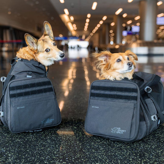 K9 Sport Sack® Sky Pack - Rocky Mountain Dog