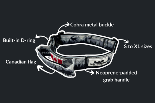 The Wild Tactical Dog Collar