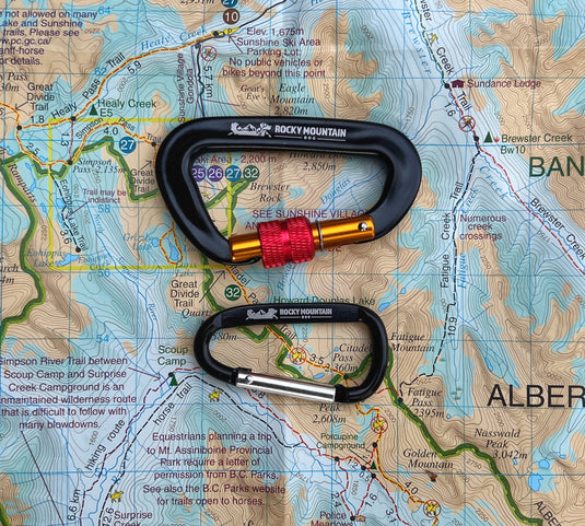 RMD Mini Carabiner