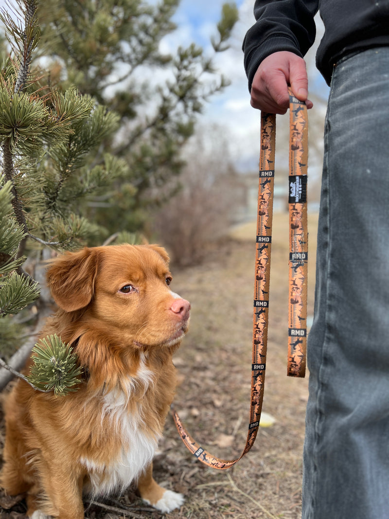 Load image into Gallery viewer, brown and white nova scotia duck tolling retriever sitting next to a person holding orange dog leash
