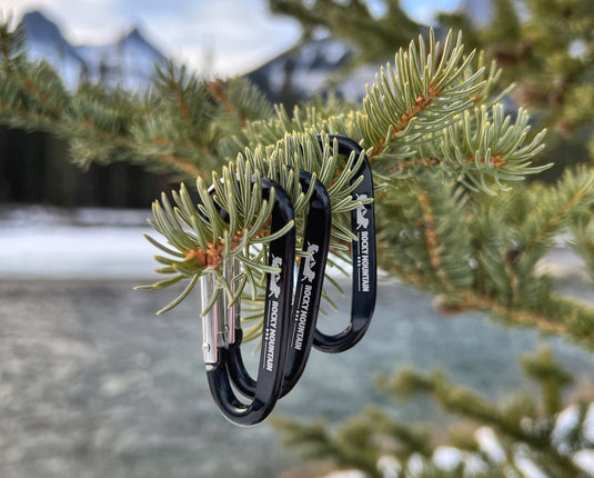 RMD Mini Carabiner