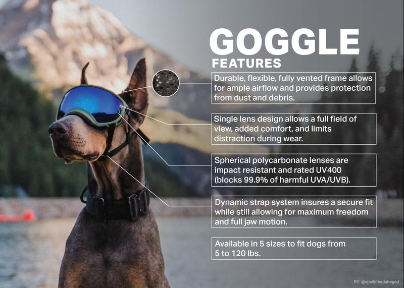 Load image into Gallery viewer, V2 Extra Small Dog Goggles
