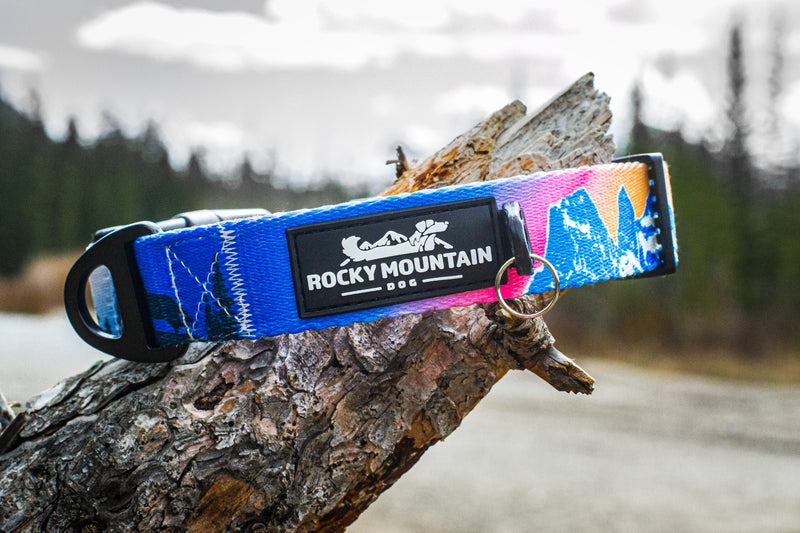 Load image into Gallery viewer, Canmore alpine dog collar by Rocky Mountain dog
