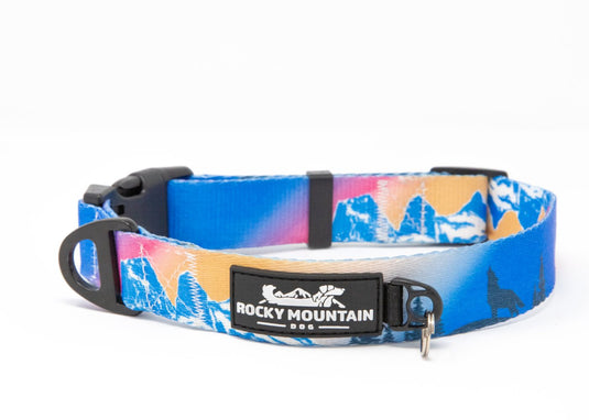 rocky mountain dog alpine collar