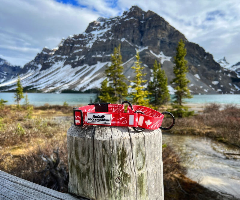 Load image into Gallery viewer, Canadian Rockies Martingale Clip Collar
